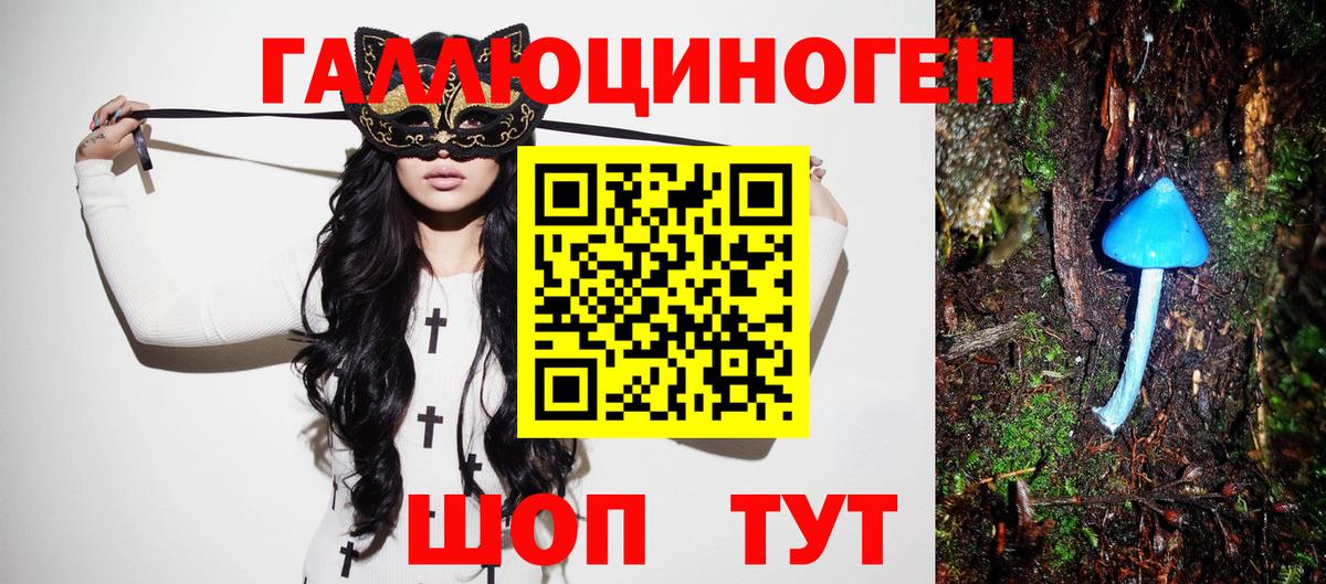 Псилоцибиновые грибы Cubensis Гатчина